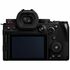 Lumix S5 II + Sigma 24-70mm F2.8