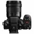 Lumix S5 II + Sigma 24-70mm F2.8