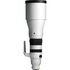 300-600mm F4 DG OS Sports Leica L