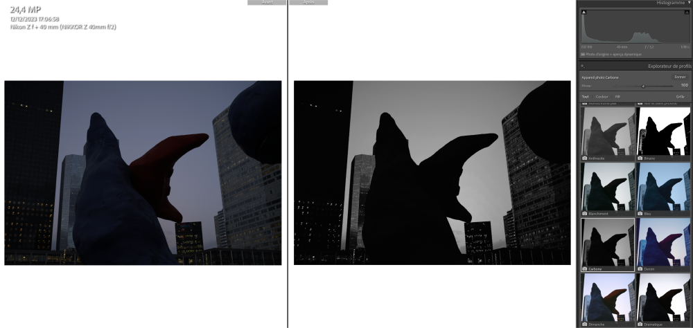 Post-traitement des photos du Nikon Zf sur Adobe Lightroom et choix des Picture Control