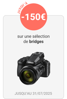 Bridges