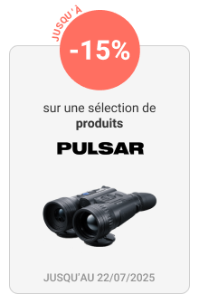 Pulsar