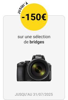 Bridges