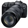 photo Canon EOS R8 + 100-400mm